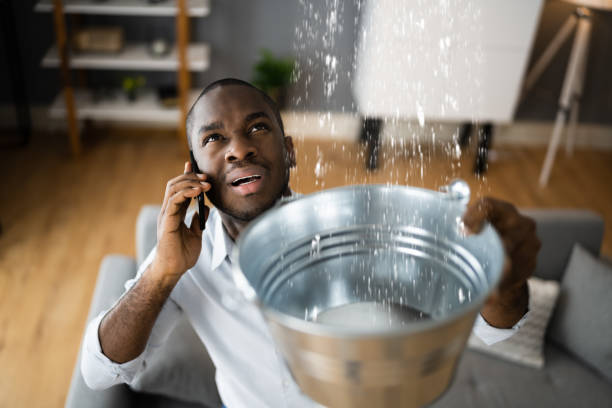 Best Water damage contractors near me  in Fayetteville, GA