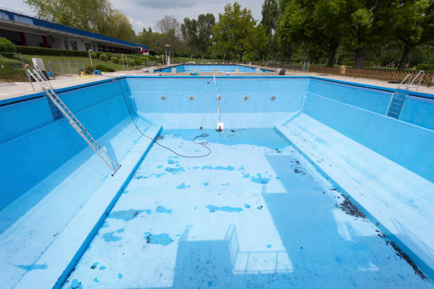 Best Mold removal after water damage  in Fayetteville, GA
