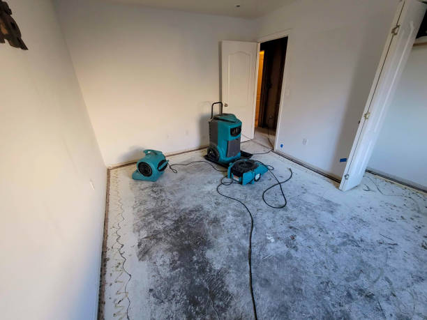 Best Water damage restoration near me  in Fayetteville, GA