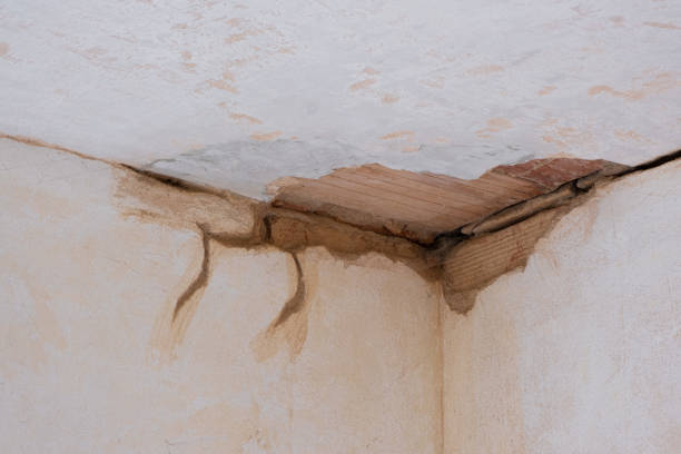 Best Fire Damage Restoration  in Fayetteville, GA