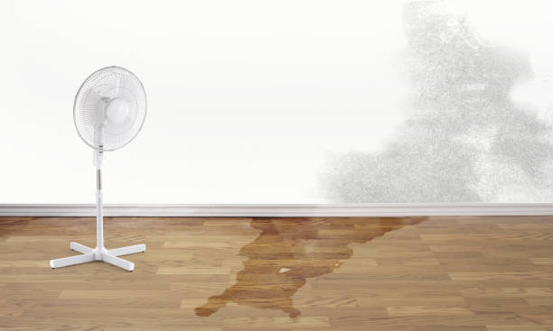 Best Flood damage cleanup  in Fayetteville, GA