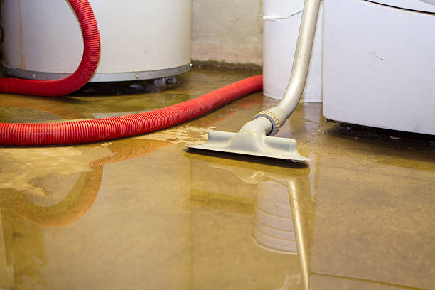 Best Flood restoration services  in Fayetteville, GA