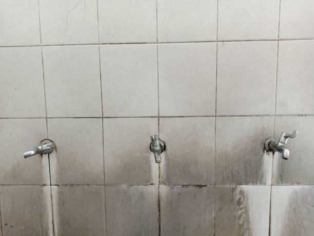 Best Sewage cleanup and water damage restoration  in Fayetteville, GA