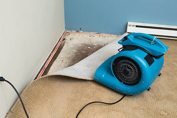Best 24-hour water damage restoration  in Fayetteville, GA